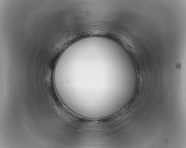X0000090700550200707200931