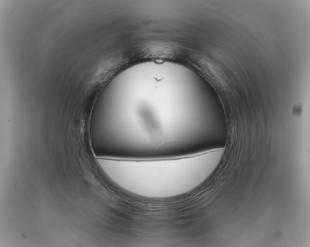 X0000090700551200707200931