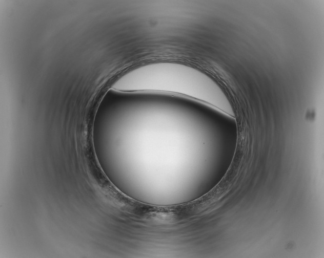 X0000090700552200707200931