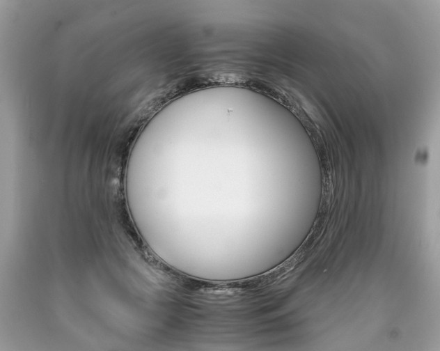 X0000090700553200707200931
