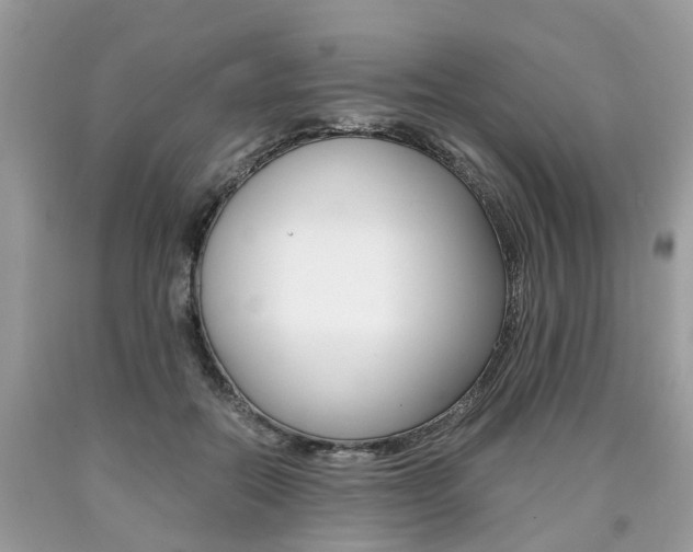 X0000090700554200707200931