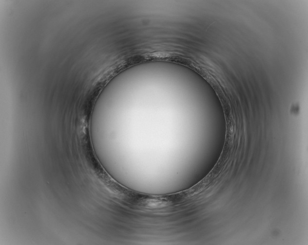 X0000090700555200707200931