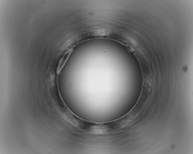 X0000090700556200707200931