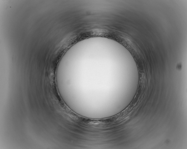 X0000090700557200707200931
