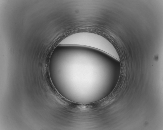 X0000090700558200707200931