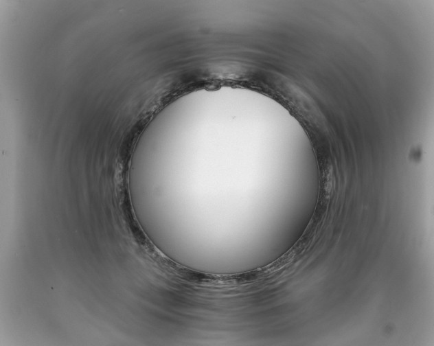 X0000090700559200707200931