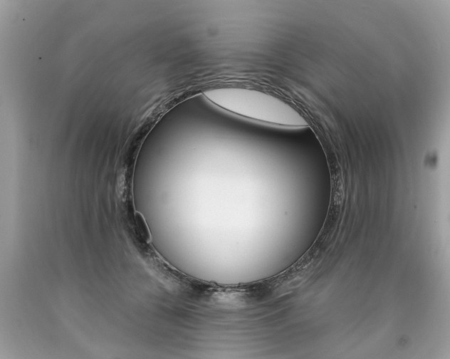 X0000090700560200707200931