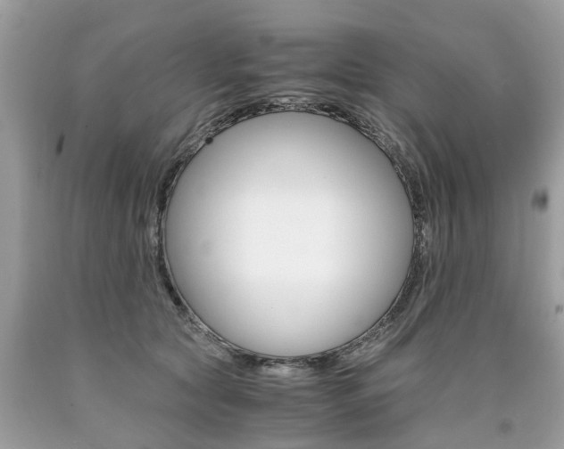 X0000090700561200707200931