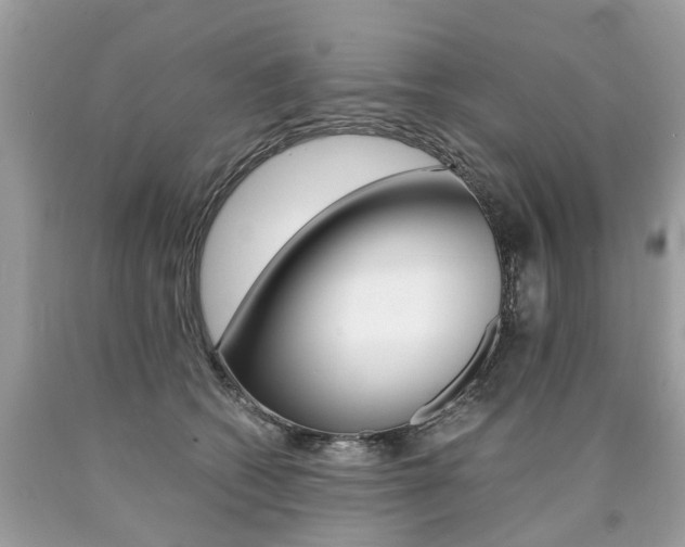 X0000090700562200707200931