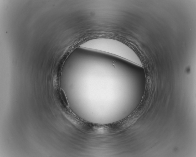 X0000090700564200707200931