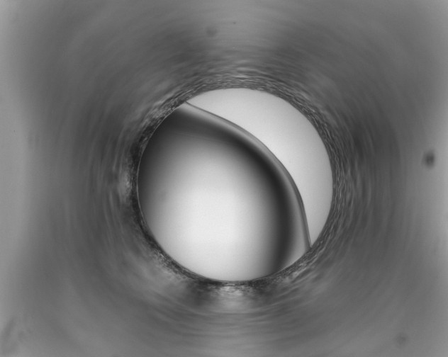 X0000090700566200707200931