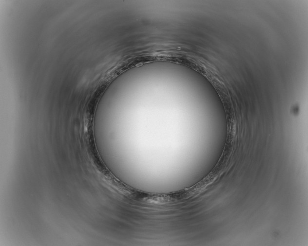 X0000090700567200707200931