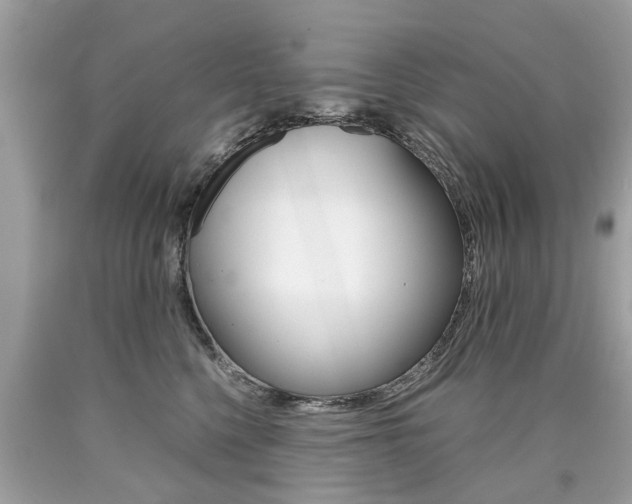 X0000090700568200707200931