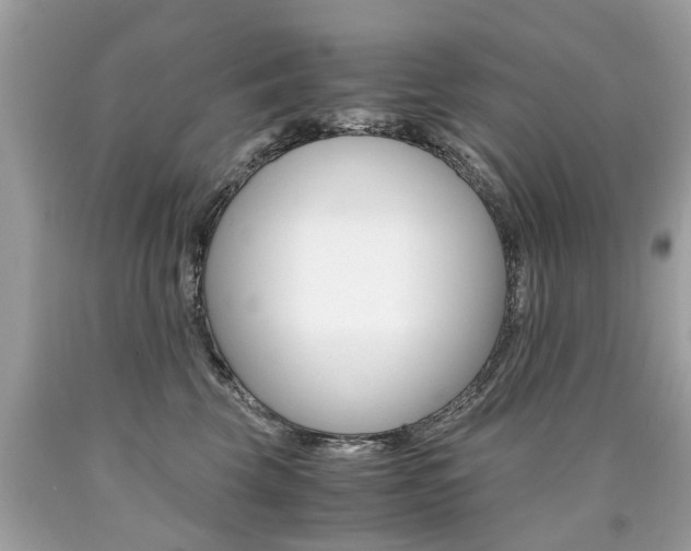 X0000090700569200707200931