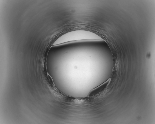 X0000090700570200707200931
