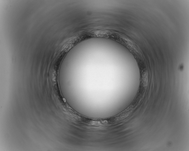 X0000090700571200707200931
