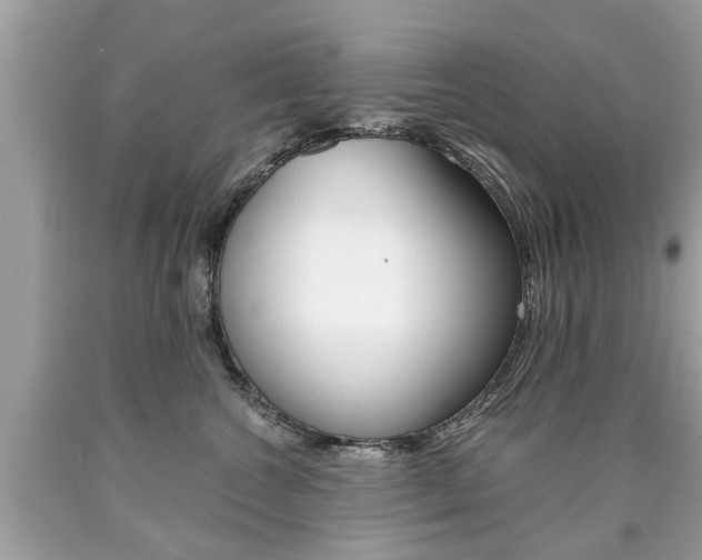 X0000090700572200707200931