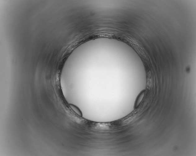 X0000090700573200707200931