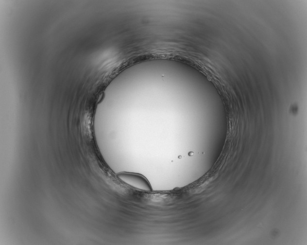 X0000090700575200707200931