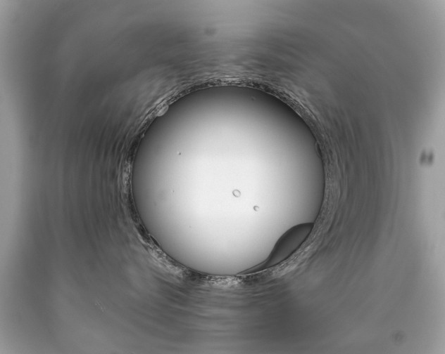 X0000090700576200707200931
