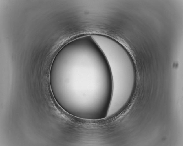 X0000090700577200707200931