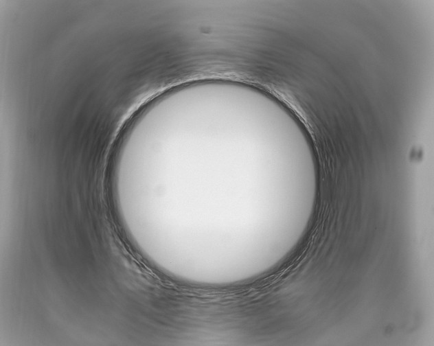 X0000090700579200707200931