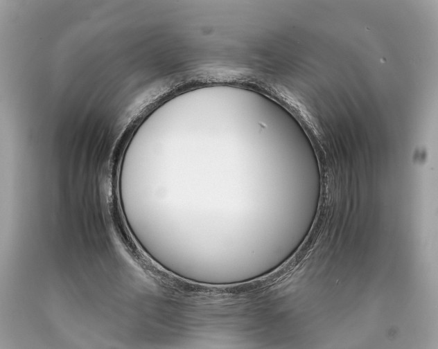 X0000090700582200707200931