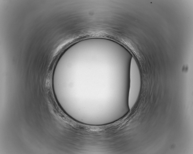 X0000090700583200707200931