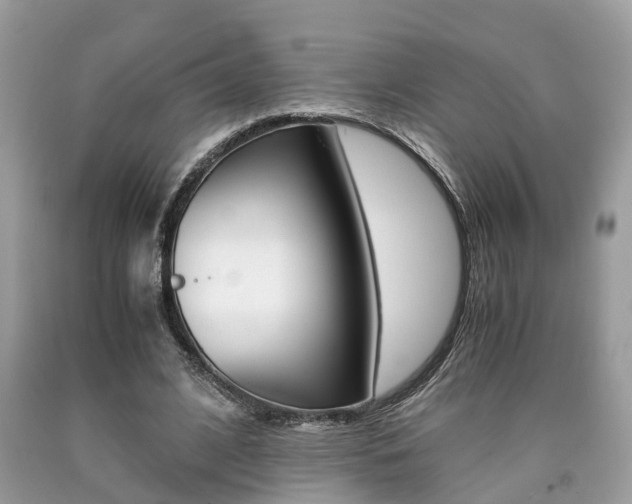 X0000090700584200707200931