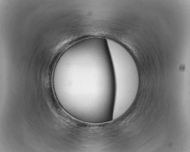 X0000090700587200707200931