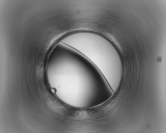 X0000090700588200707200931