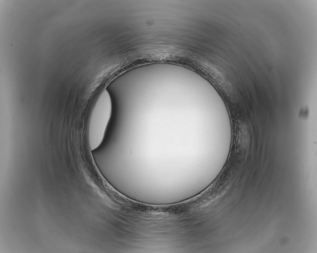 X0000090700590200707200930