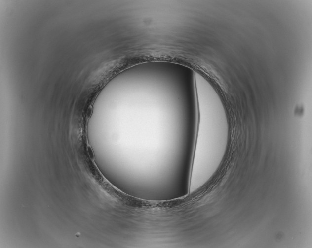 X0000090700593200707200930