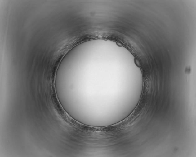 X0000090700594200707200930