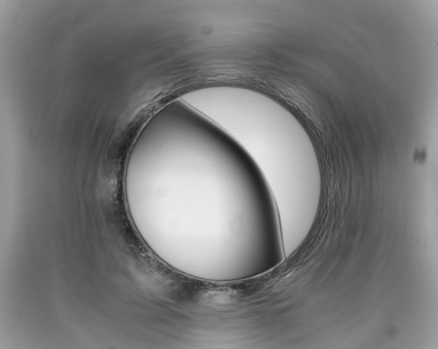 X0000090700595200707200930