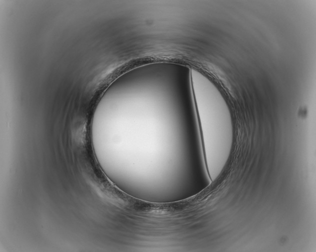 X0000090700596200707200930