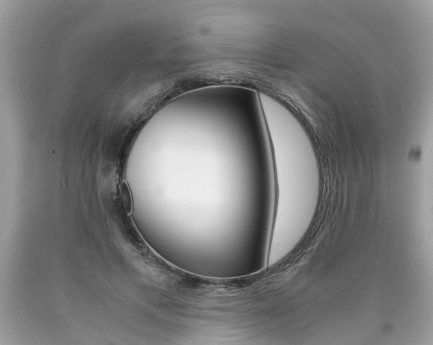 X0000090700597200707200930