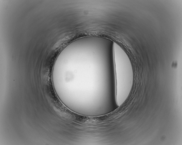X0000090700599200707200930