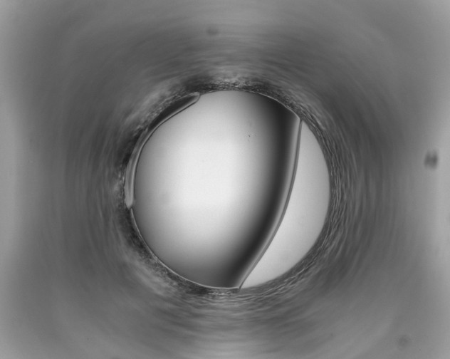 X0000090700601200707200930