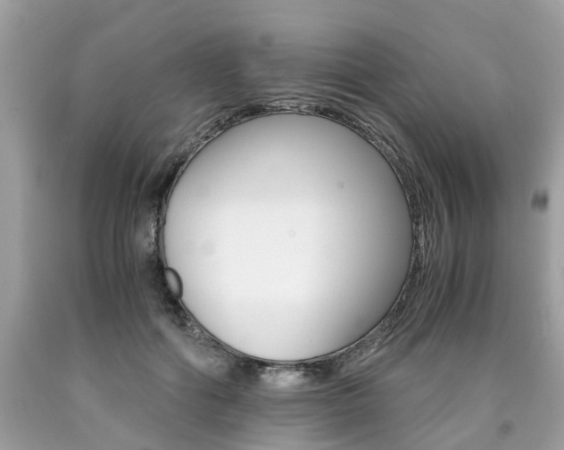 X0000090700602200707200930