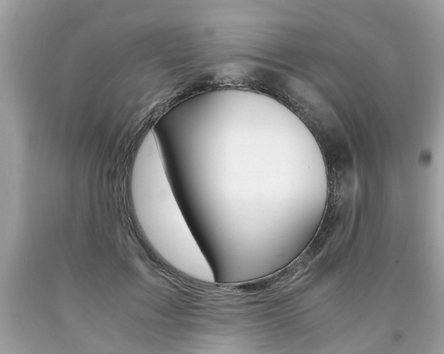 X0000090700603200707200930