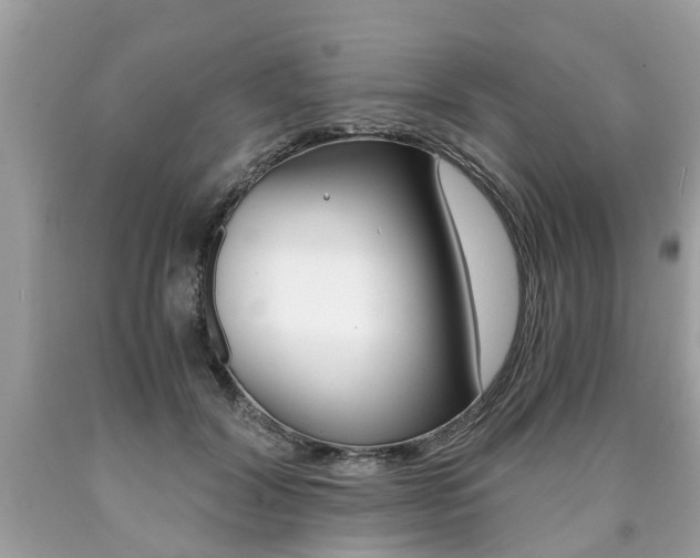 X0000090700604200707200930