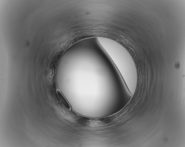 X0000090700605200707200930