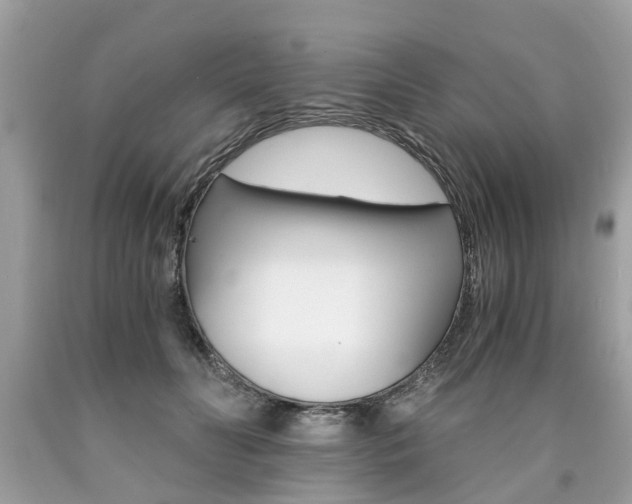 X0000090700606200707200930
