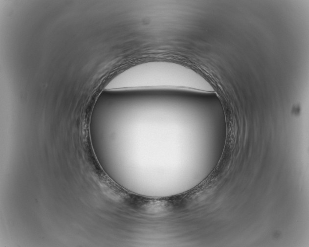 X0000090700609200707200930