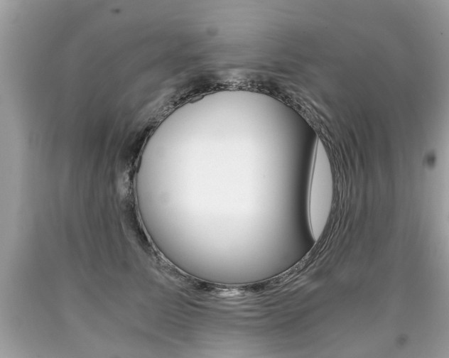 X0000090700611200707200930