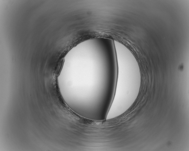 X0000090700613200707200930
