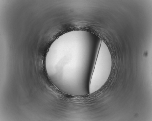 X0000090700615200707200930