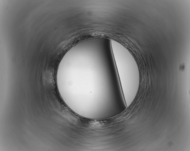 X0000090700616200707200930