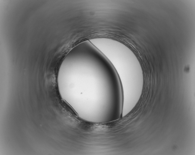 X0000090700617200707200930